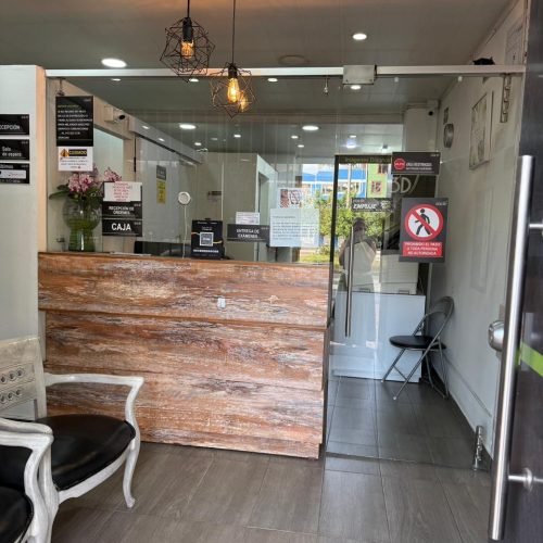 91ba5fb7-af55-480d-85d8-a1241d7db837